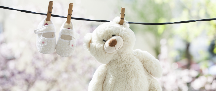 雨后,毛絨玩具該曬太陽了